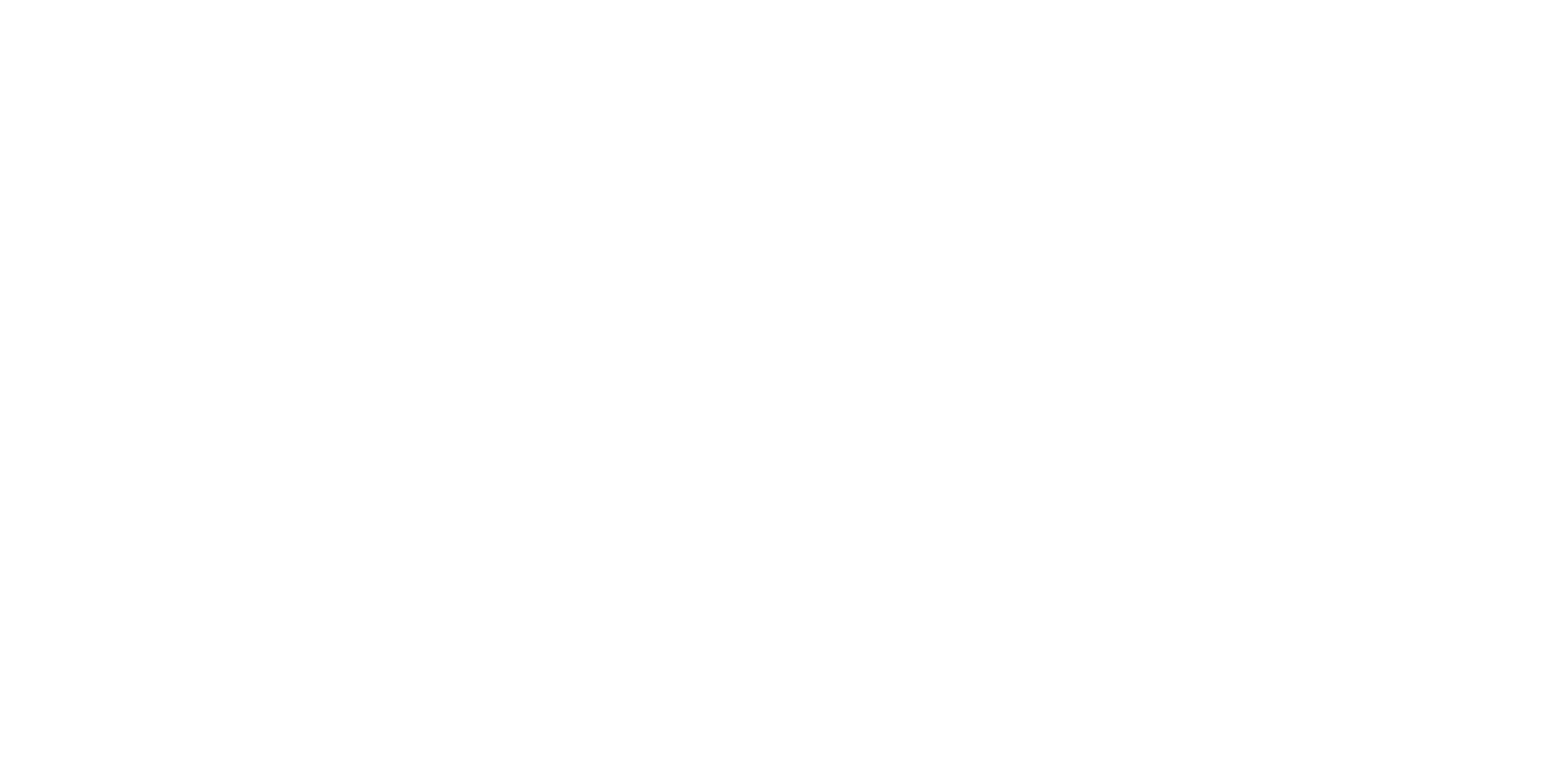 Dr. Carly Wendler N.D.
